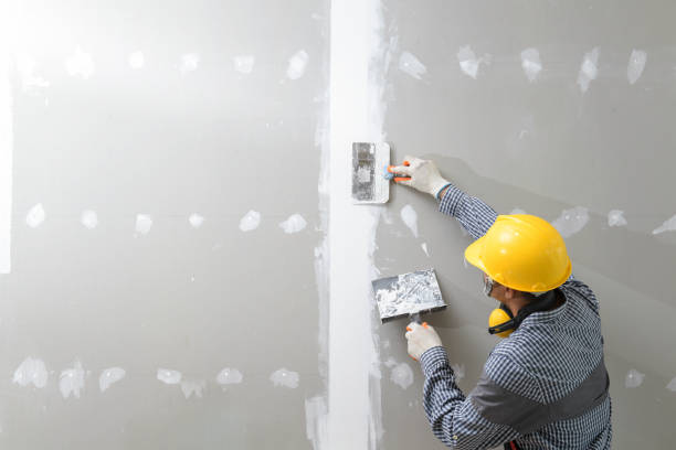 Best Custom Drywall Designs  in Atkinson, IL